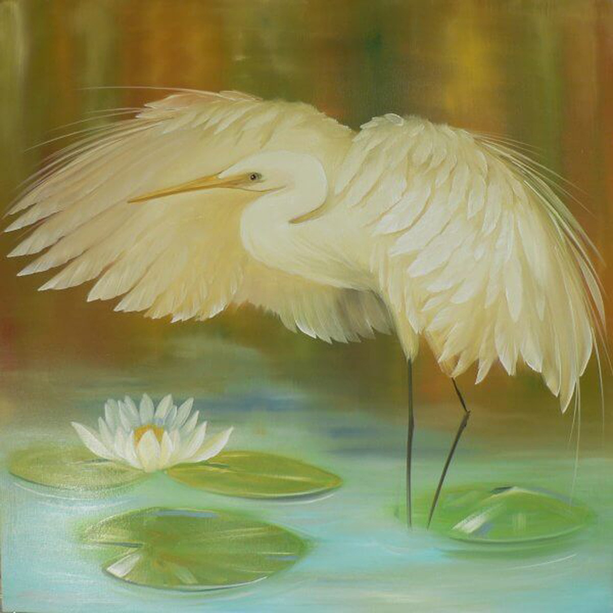 White Egret